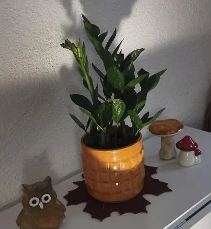 Ruhige Sout. Whg. Feldrandnaehe * Seligenstadt