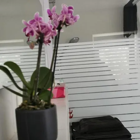 Appartement Ruhige Sout. Whg. Feldrandnaehe