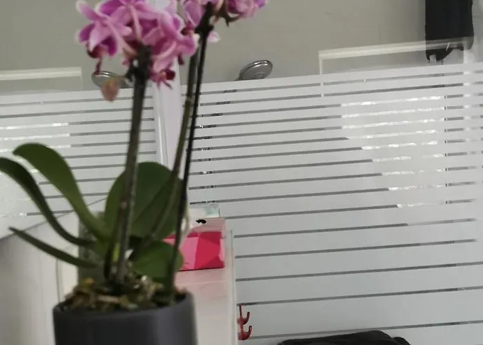 Apartment Ruhige Sout. Whg. Feldrandnaehe